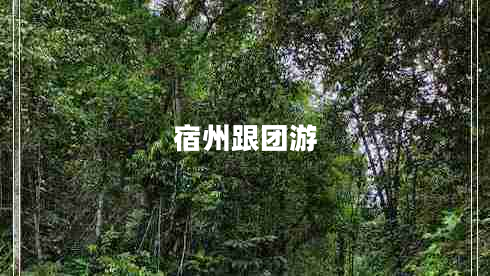宿州跟團(tuán)游
