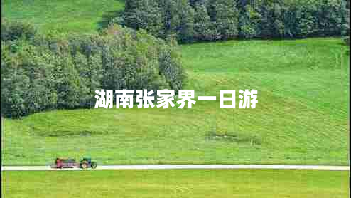 湖南張家界一日游 湖南張家界一日游