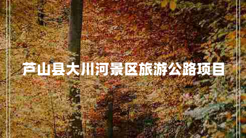 蘆山縣大川河景區(qū)旅游公路項目