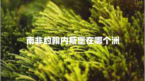 南非約翰內(nèi)斯堡在哪個洲