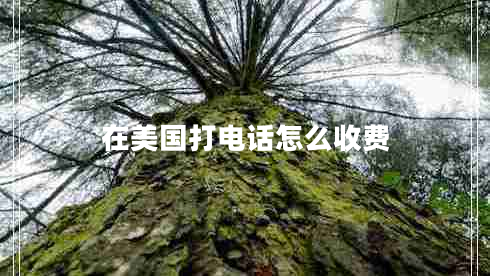 在美國打電話(huà)怎么收費