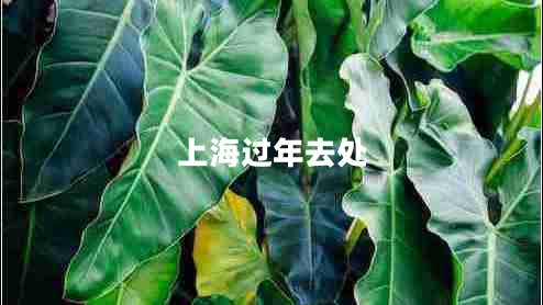上海過年去處