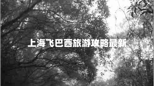 上海飛巴西旅游攻略最新