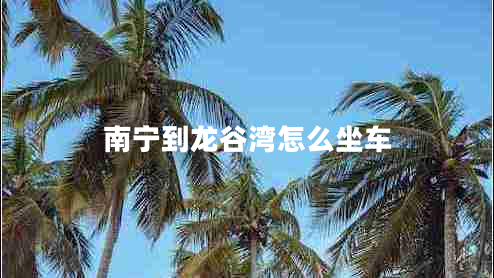 南寧到龍谷灣怎么坐車