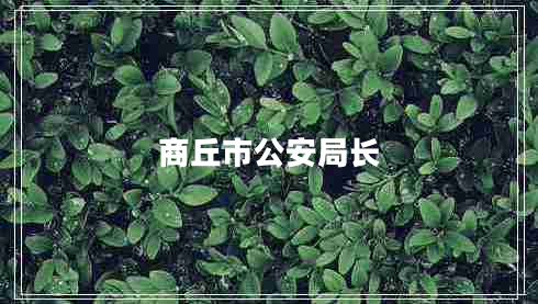 商丘市公安局長(zhǎng)