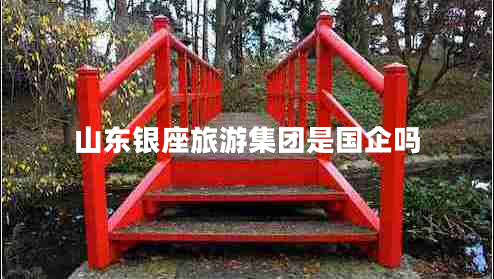 山東銀座旅游集團是國企嗎