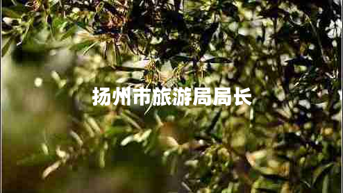 揚(yáng)州市旅游局局長(zhǎng)