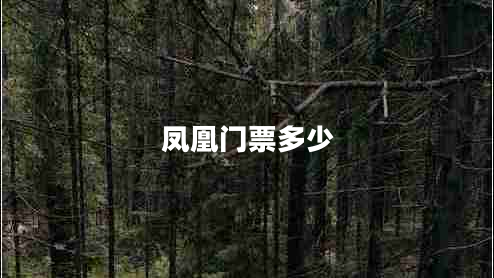 鳳凰門票多少