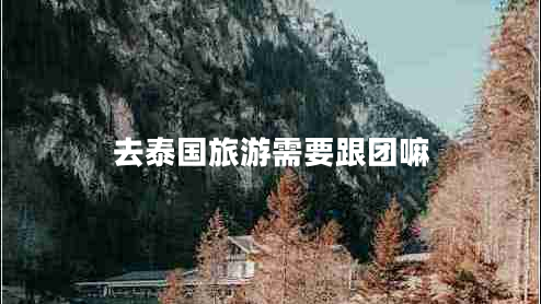 去泰國旅游需要跟團(tuán)嘛
