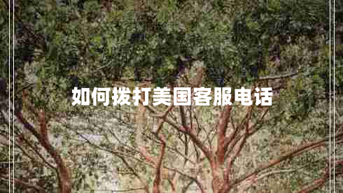 如何撥打美國客服電話