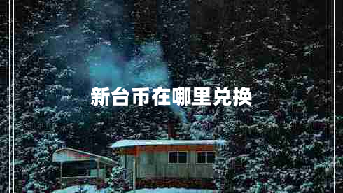 新臺(tái)幣在哪里兌換