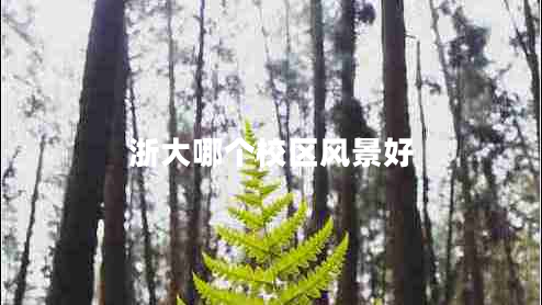 浙大哪個校區(qū)風(fēng)景好