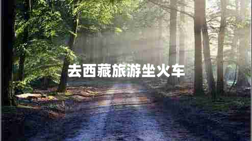 去西藏旅游坐火車(chē)