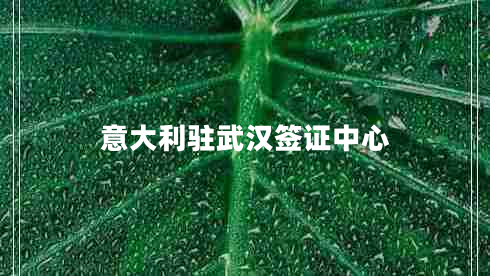 意大利駐武漢簽證中心