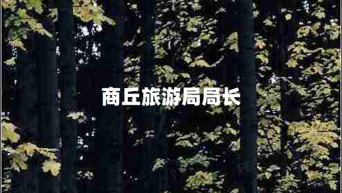 商丘旅游局局長