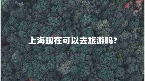 上海現(xiàn)在可以去旅游嗎?