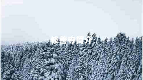修善寺簡介