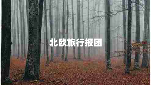 北歐旅行報(bào)團(tuán)