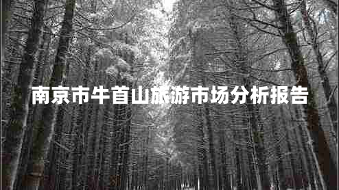 南京市牛首山旅游市場(chǎng)分析報(bào)告