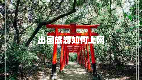 出國(guó)旅游如何上網(wǎng)