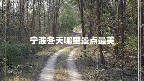 寧波冬天哪里景點最美