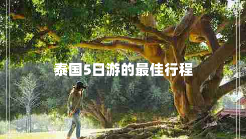 泰國(guó)5日游的最佳行程