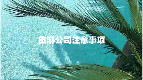 旅游公司注意事項