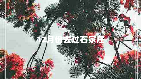 12月份去過石家莊