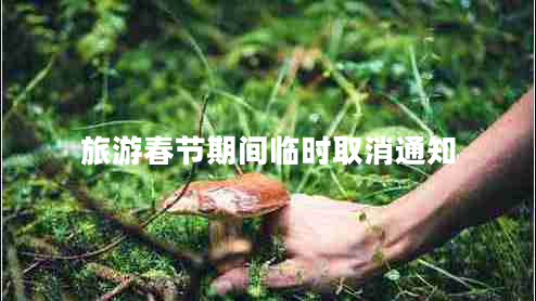 旅游春節(jié)期間臨時(shí)取消通知