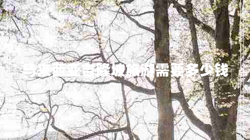 馬來西亞吉隆坡旅游需要多少錢