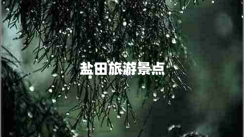 鹽田旅游景點(diǎn)