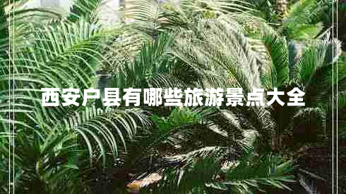 西安戶(hù)縣有哪些旅游景點(diǎn)大全