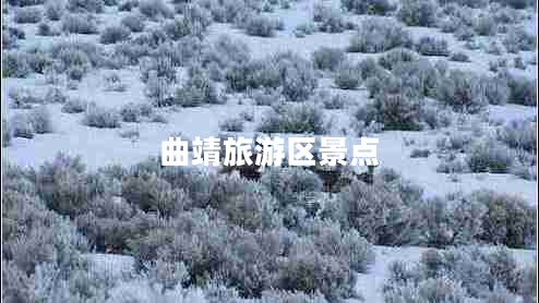 曲靖旅游區景點(diǎn)