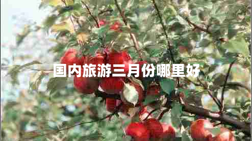 國內(nèi)旅游三月份哪里好