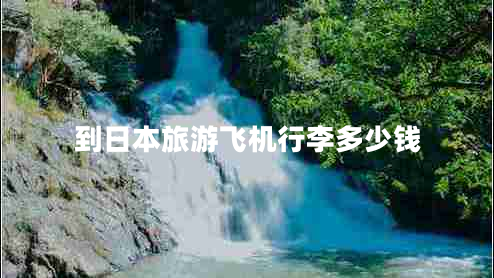 到日本旅游飛機(jī)行李多少錢