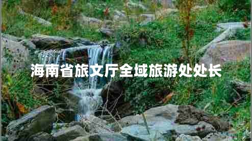 海南省旅文廳全域旅游處處長(zhǎng)
