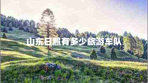 山東日照有多少旅游車隊(duì)