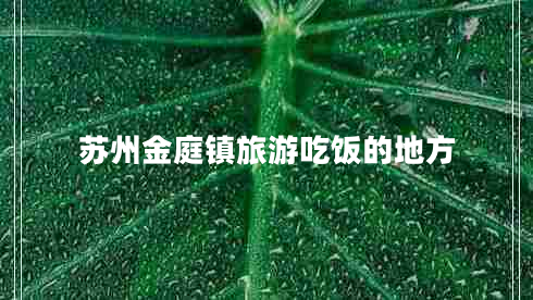 蘇州金庭鎮旅游吃飯的地方