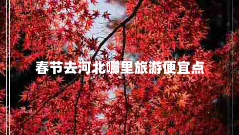 春節去河北哪里旅游便宜點(diǎn)