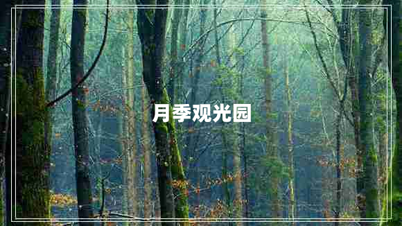月季觀(guān)光園