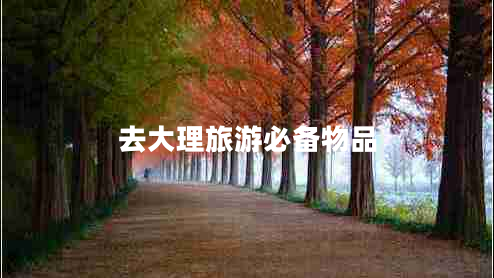 去大理旅游必備物品