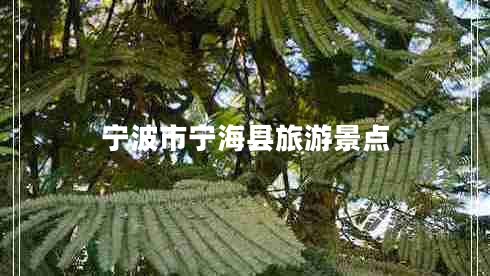 寧波市寧海縣旅游景點