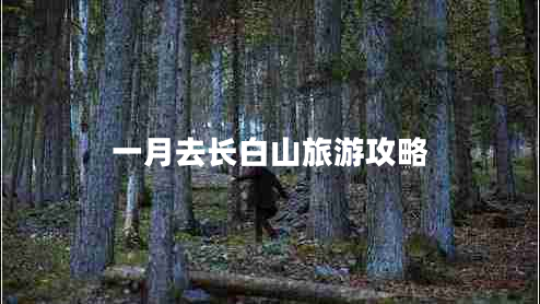 一月去長白山旅游攻略