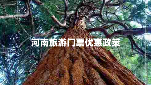 河南旅游門票優(yōu)惠政策