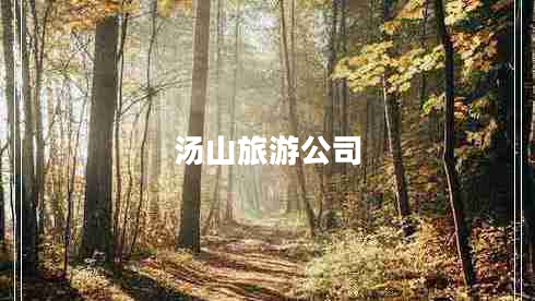 湯山旅游公司