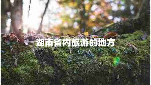 湖南省內旅游的地方
