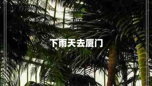 下雨天去廈門(mén)