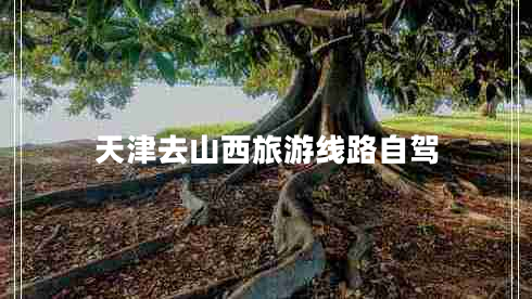 天津去山西旅游線(xiàn)路自駕