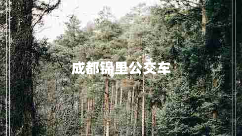 成都錦里公交車(chē)
