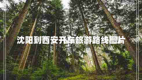 沈陽到西安開車旅游路線圖片